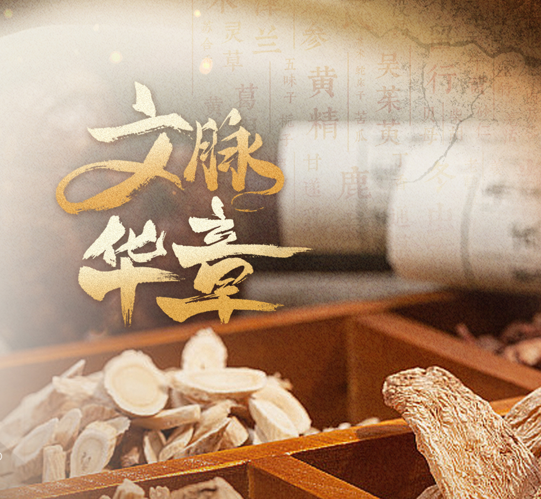 文脉华章｜做好中医药守正创新、传承发展